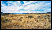 Shotgun Butte Rd, WY