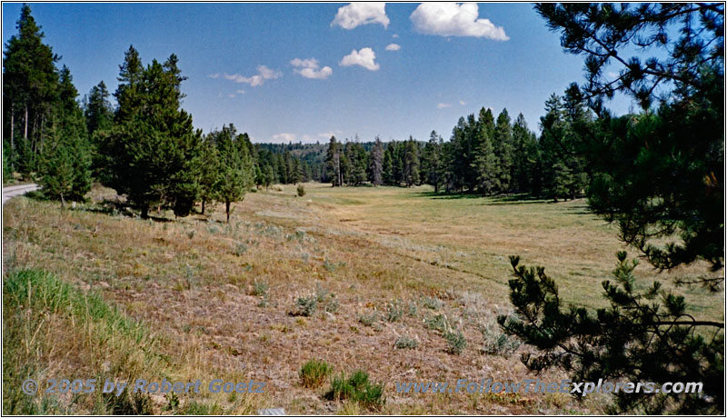 FR264, Jackass Meadow Rd, Idaho