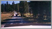 FR264, Jackass Meadow Rd, ID FR264, Jackass Meadow Rd, ID