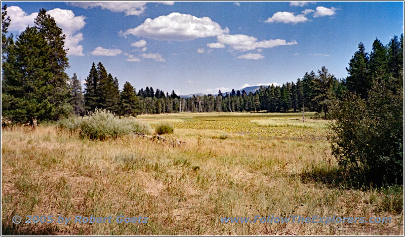 FR264, Ernest Lake, Wyoming