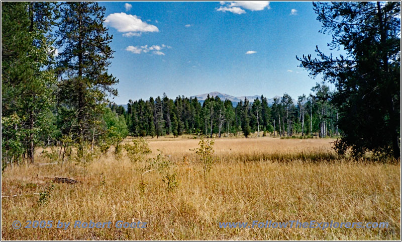 FR264, WY FR264, WY