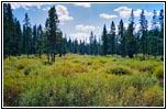 FR264, WY FR264, WY