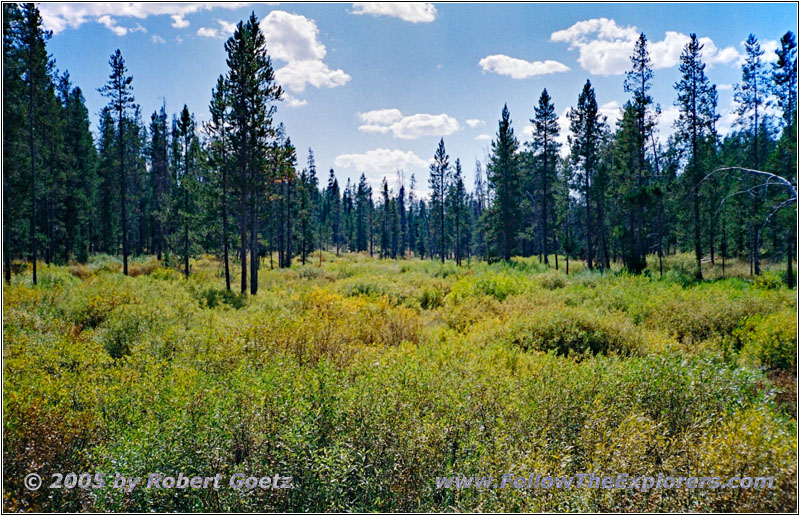 FR264, Wyoming