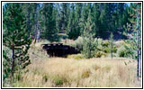 FR264, WY FR264, WY