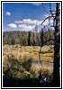 FR261, WY FR261, WY