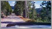 Grassy Lake Rd, Wyoming