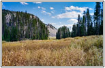 Grassy Lake Rd, WY