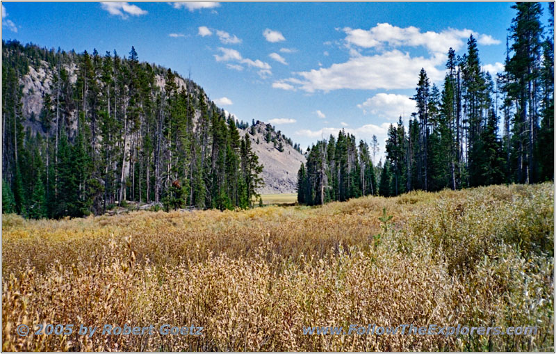 Grassy Lake Rd, WY