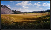 Grassy Lake Rd, WY