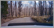 Grassy Lake Rd, Wyoming