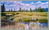 Grassy Lake Rd, Glade Creek, Wyoming