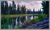 Grassy Lake Rd, Polecat Creek, WY Grassy Lake Rd, Polecat Creek, WY