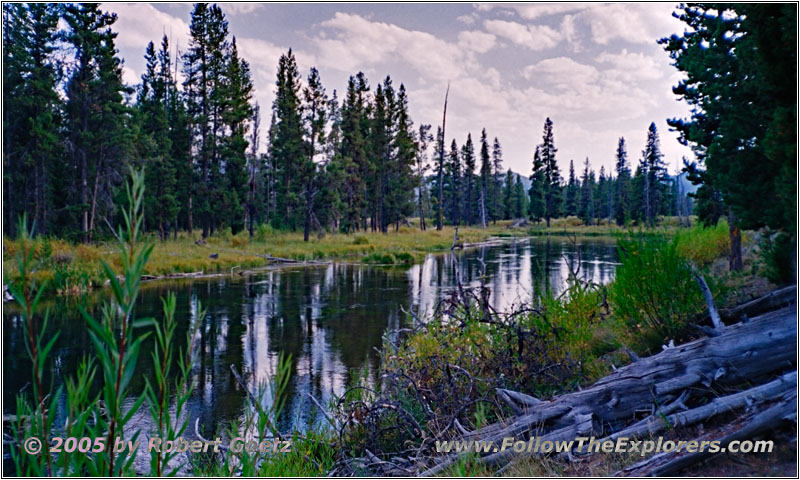 Grassy Lake Rd, Polecat Creek, Wyoming