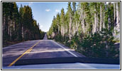 Highway 89/191/287, Yellowstone National Park, Wyoming