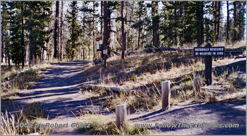 Heart Lake Trail, Yellowstone National Park, Wyoming