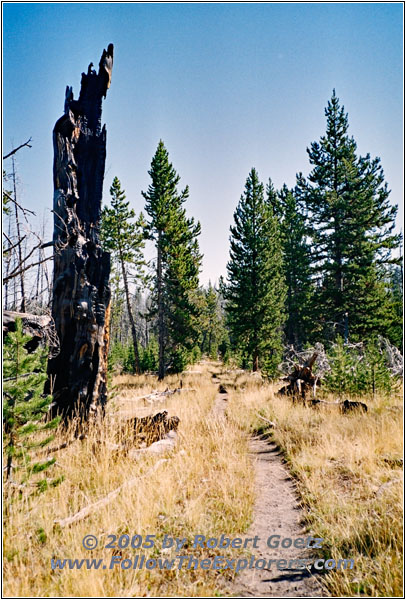 Heart Lake Trail, Yellowstone National Park, WY Heart Lake Trail, Yellowstone National Park, WY