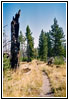 Heart Lake Trail, Yellowstone National Park, Wyoming