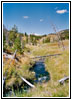 Heart Lake Trail, Yellowstone National Park, WY Heart Lake Trail, Yellowstone National Park, WY