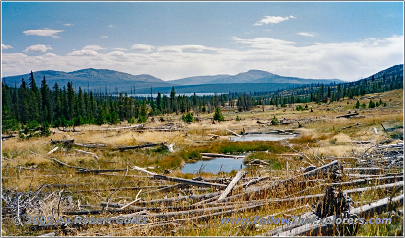 Heart Lake Trail, Yellowstone National Park, WY Heart Lake Trail, Yellowstone National Park, WY