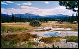 Heart Lake Trail, Yellowstone National Park, Wyoming