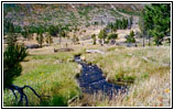 Heart Lake Trail, Yellowstone National Park, Wyoming