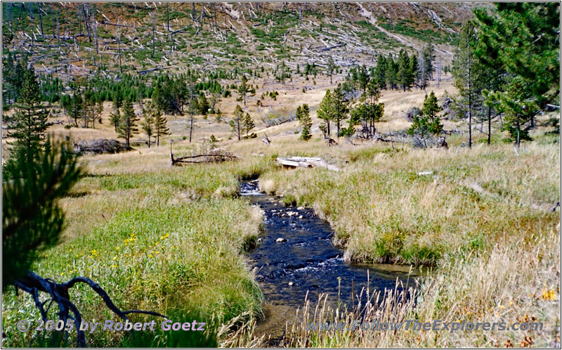 Heart Lake Trail, Yellowstone National Park, WY Heart Lake Trail, Yellowstone National Park, WY