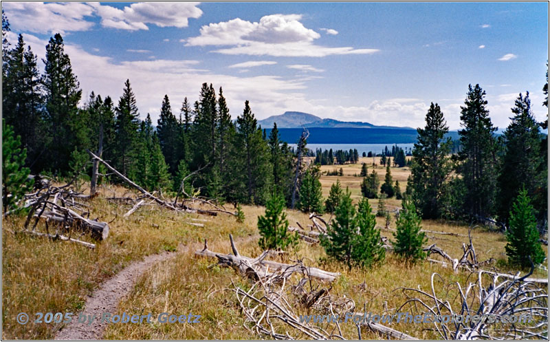 Heart Lake Trail, Yellowstone National Park, WY Heart Lake Trail, Yellowstone National Park, WY