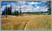 Heart Lake Trail, Yellowstone National Park, WY Heart Lake Trail, Yellowstone National Park, WY