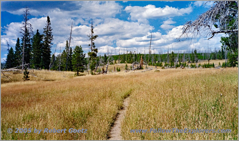 Heart Lake Trail, Yellowstone National Park, WY Heart Lake Trail, Yellowstone National Park, WY