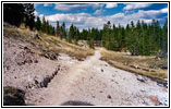 Heart Lake Trail, Yellowstone National Park, WY Heart Lake Trail, Yellowstone National Park, WY