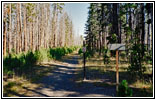 Dogshead Trail, Yellowstone National Park, Wyoming