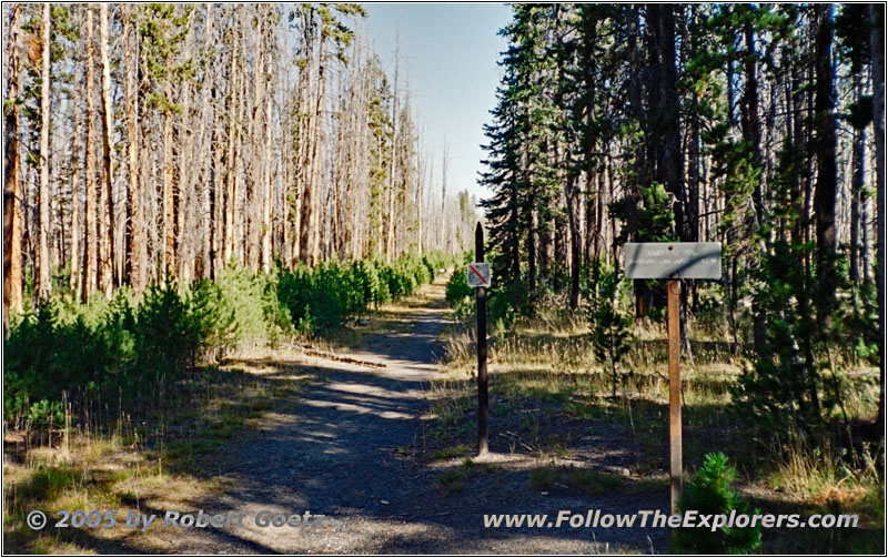 Dogshead Trail, Yellowstone National Park, WY Dogshead Trail, Yellowstone National Park, WY