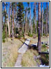 Dogshead Trail, Yellowstone National Park, Wyoming