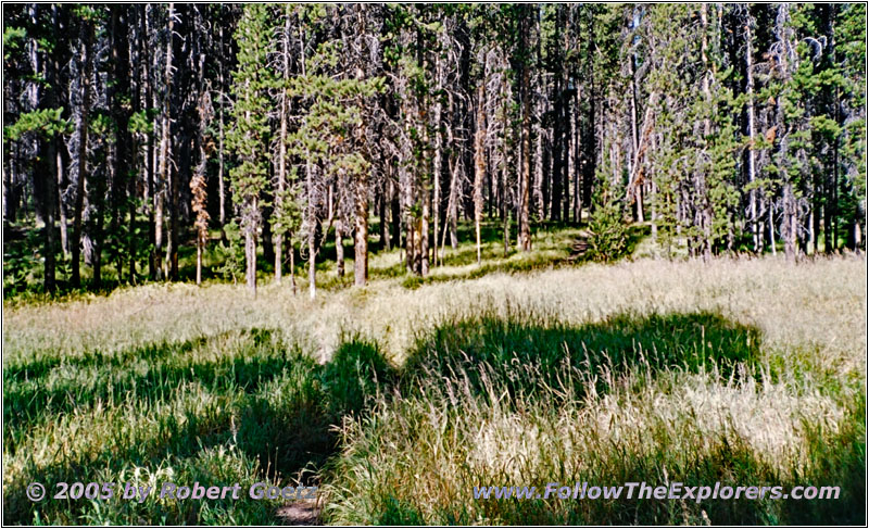 Dogshead Trail, Yellowstone National Park, WY Dogshead Trail, Yellowstone National Park, WY