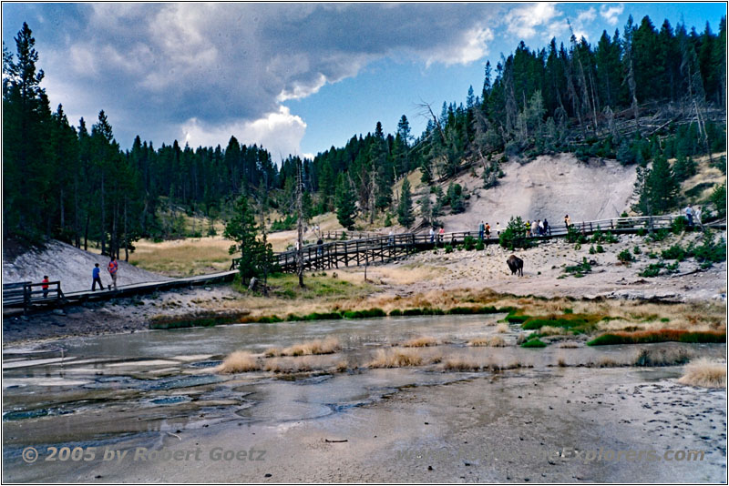 Mud Volcano, Yellowstone National Park, WY