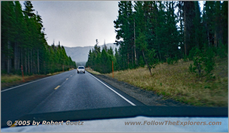 Grand Loop Rd, Yellowstone National Park, Wyoming