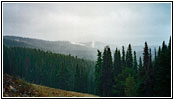 Grand Loop Rd, Yellowstone National Park, WY