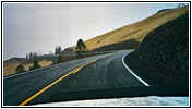 Grand Loop Rd, Yellowstone National Park, Wyoming