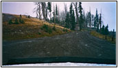 Chittendon Rd, Yellowstone National Park, Wyoming