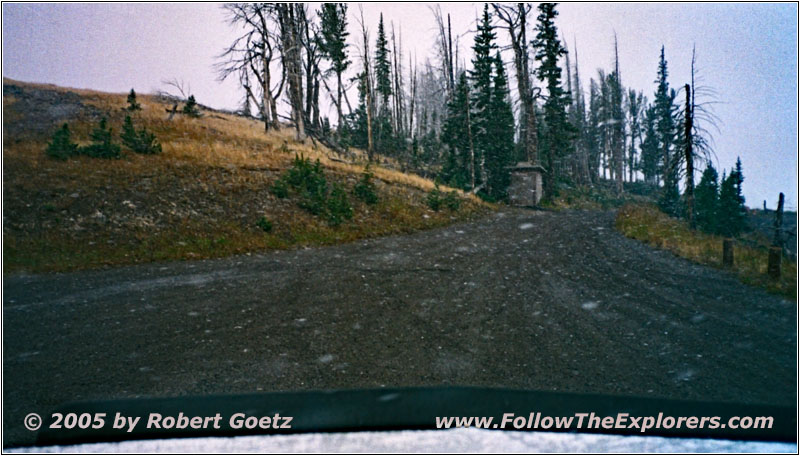 Chittendon Rd, Yellowstone National Park, Wyoming