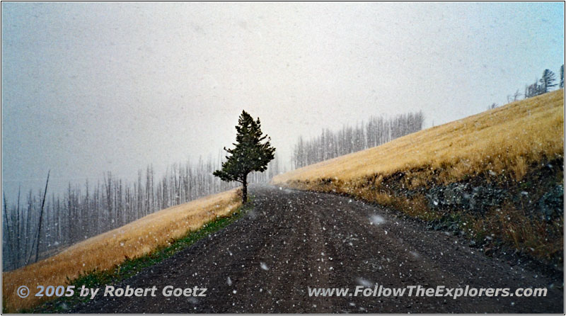 Chittendon Rd, Yellowstone National Park, WY Chittendon Rd, Yellowstone National Park, WY
