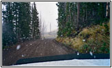 Chittendon Rd, Yellowstone National Park, Wyoming