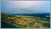 Grand Loop Rd, Yellowstone National Park, Wyoming