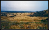 Grand Loop Rd, Yellowstone National Park, WY Grand Loop Rd, Yellowstone National Park, WY