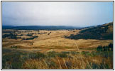 Grand Loop Rd, Yellowstone National Park, WY