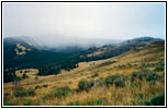 Grand Loop Rd, Yellowstone National Park, Wyoming