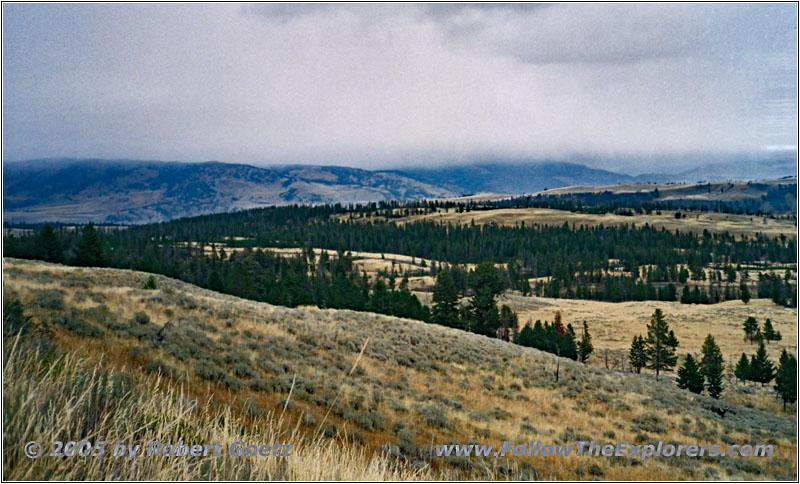 Grand Loop Rd, Yellowstone National Park, Wyoming