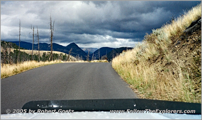 Petrified Tree Rd, Yellowstone National Park, Wyoming