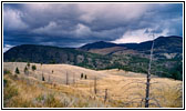 Grand Loop Rd, Yellowstone National Park, WY