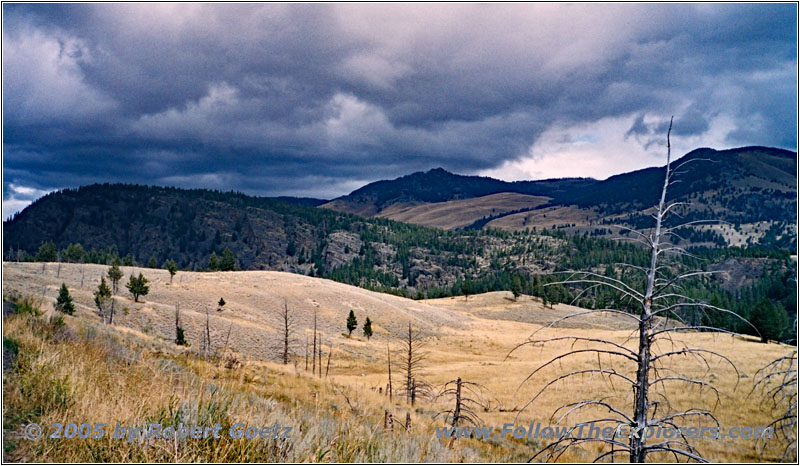 Grand Loop Rd, Yellowstone National Park, Wyoming